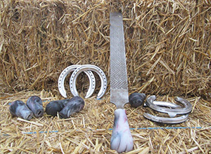 Alkay Farrier Handle